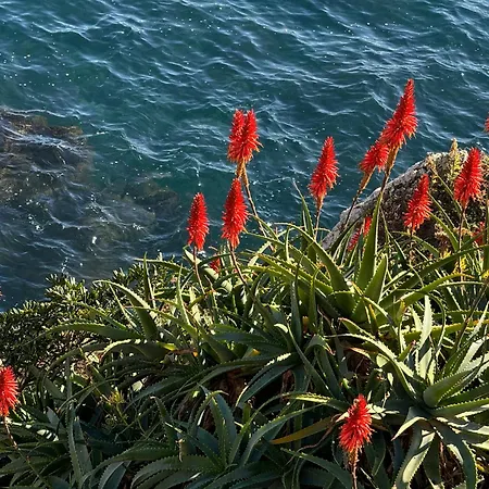 Old Town-exceptional Apartment-in Absolute Calm Apartmán