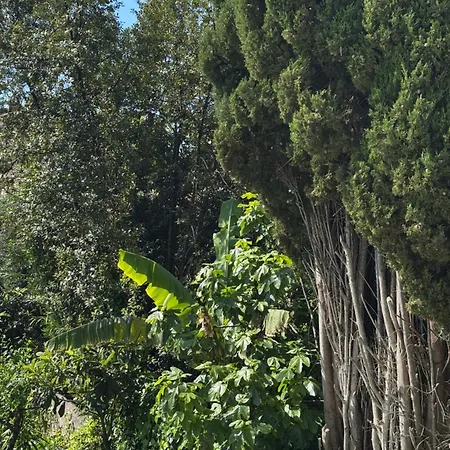 Old Town-exceptional Apartment-in Absolute Calm * Antibes