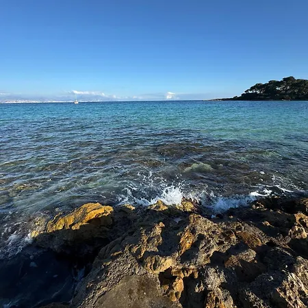 Old Town-exceptional Apartment-in Absolute Calm Antibes