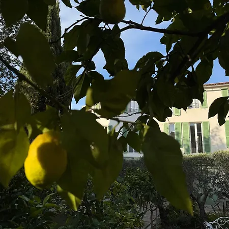 Old Town-exceptional Apartment-in Absolute Calm