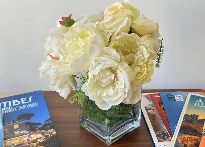 Old Town-exceptional Apartment-in Absolute Calm Antibes